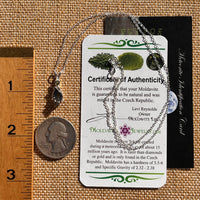 Moldavite & Meteorite Necklace Sterling Silver #7655-Moldavite Life