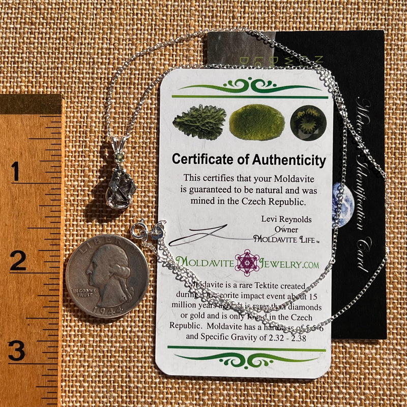 Moldavite & Meteorite Necklace Sterling Silver #7658-Moldavite Life