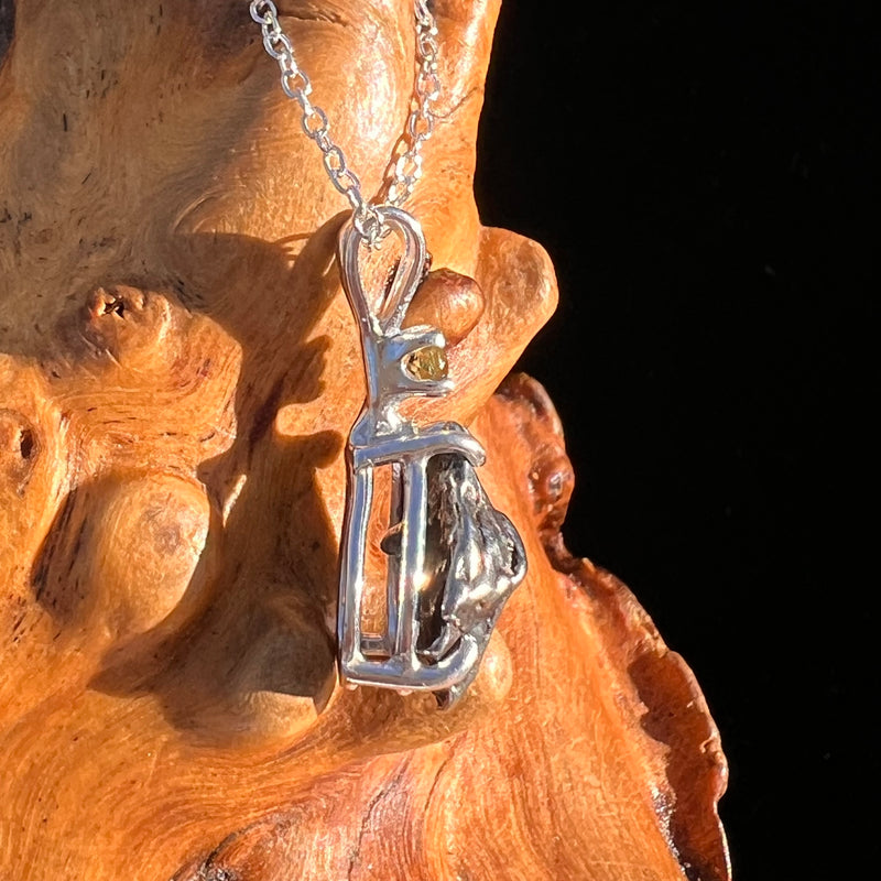 Moldavite & Meteorite Necklace Sterling Silver #7660-Moldavite Life