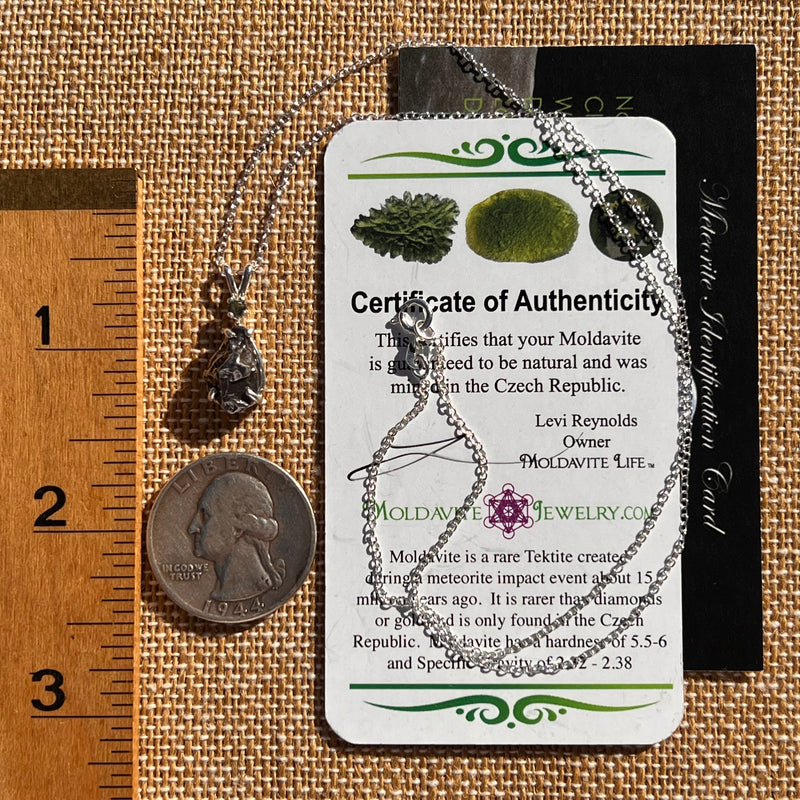 Moldavite & Meteorite Necklace Sterling Silver #7660-Moldavite Life
