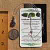 Moldavite & Meteorite Necklace Sterling Silver #7663-Moldavite Life
