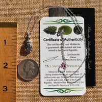 Moldavite & Meteorite Necklace Sterling Silver #7663-Moldavite Life