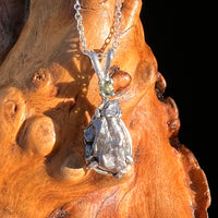 Moldavite & Meteorite Necklace Sterling Silver #7663-Moldavite Life