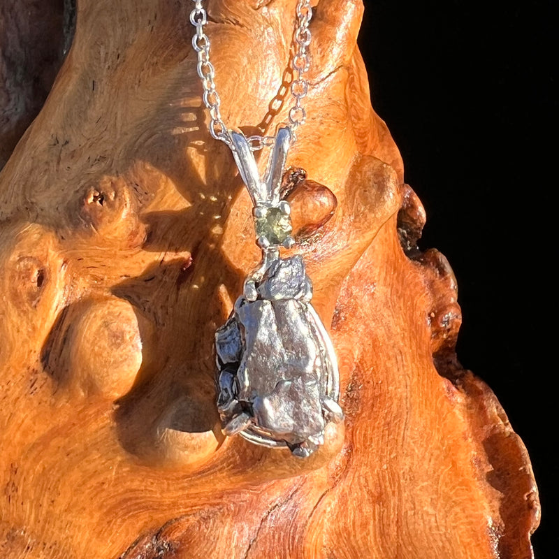 Moldavite & Meteorite Necklace Sterling Silver #7663-Moldavite Life