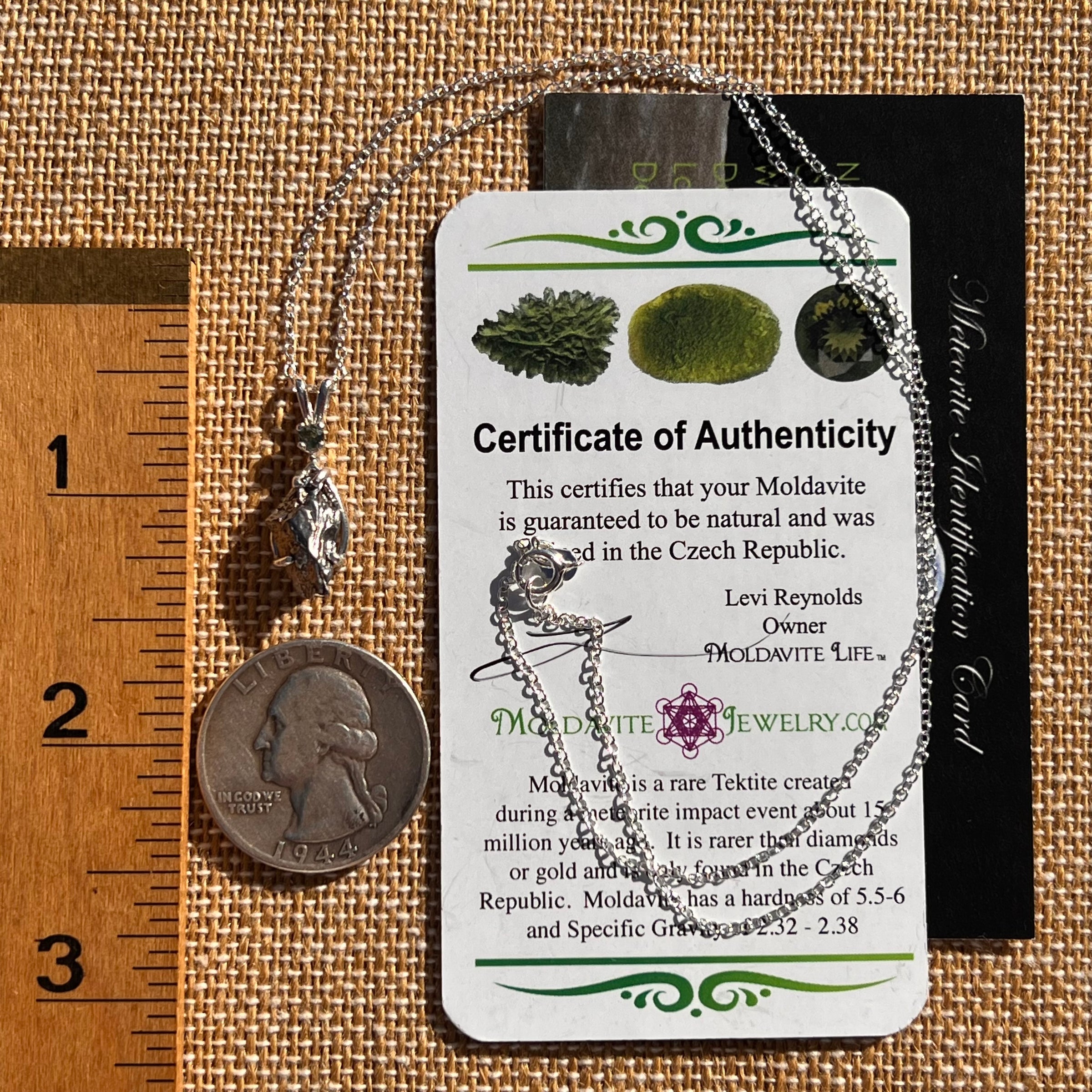 Moldavite & Meteorite Necklace Sterling Silver #7664-Moldavite Life