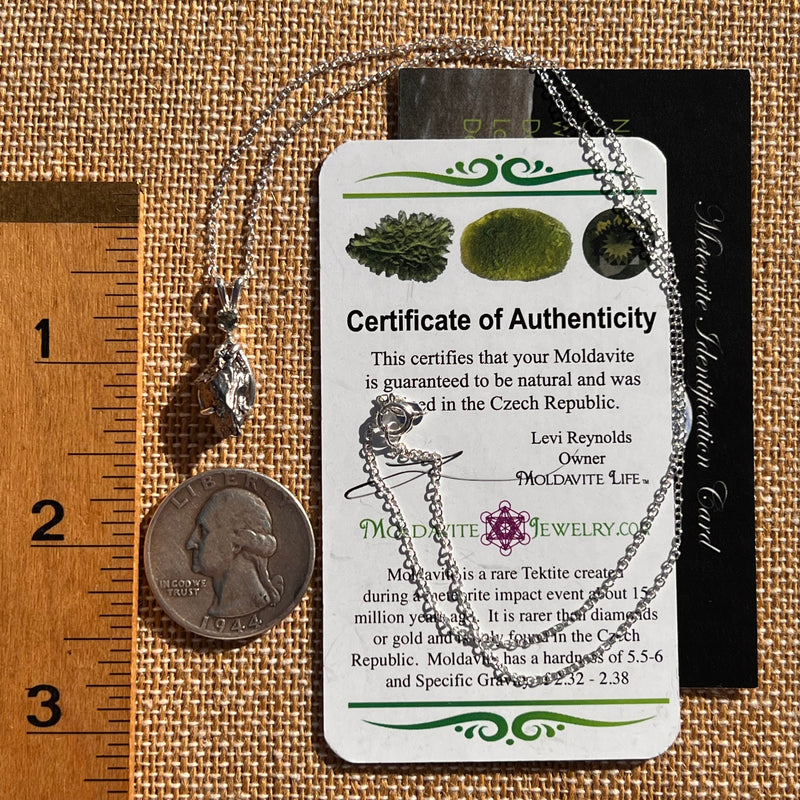 Moldavite & Meteorite Necklace Sterling Silver #7664-Moldavite Life