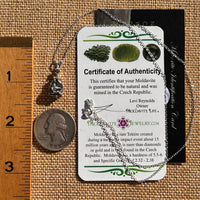 Moldavite & Meteorite Necklace Sterling Silver #7665-Moldavite Life