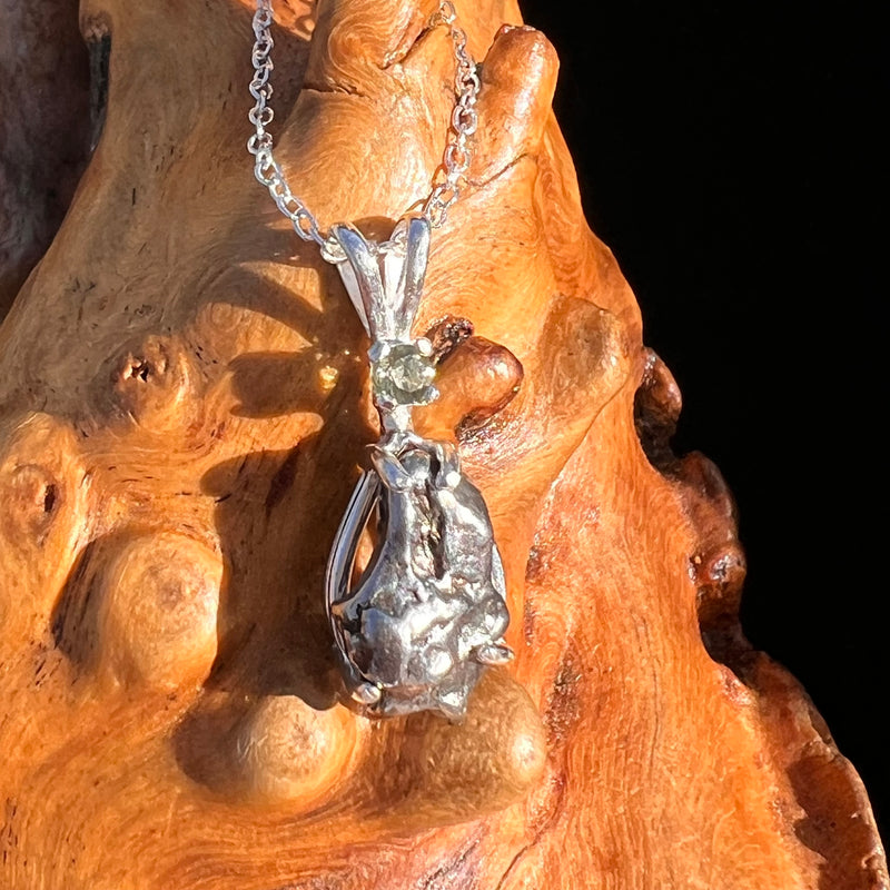 Moldavite & Meteorite Necklace Sterling Silver #7665-Moldavite Life