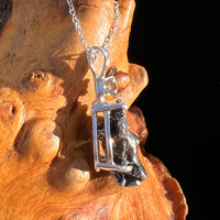 Moldavite & Meteorite Necklace Sterling Silver #7667-Moldavite Life