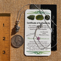 Moldavite & Meteorite Necklace Sterling Silver #7667-Moldavite Life
