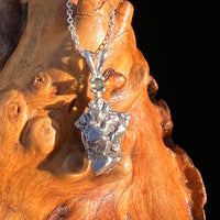 Moldavite & Meteorite Necklace Sterling Silver #7667-Moldavite Life