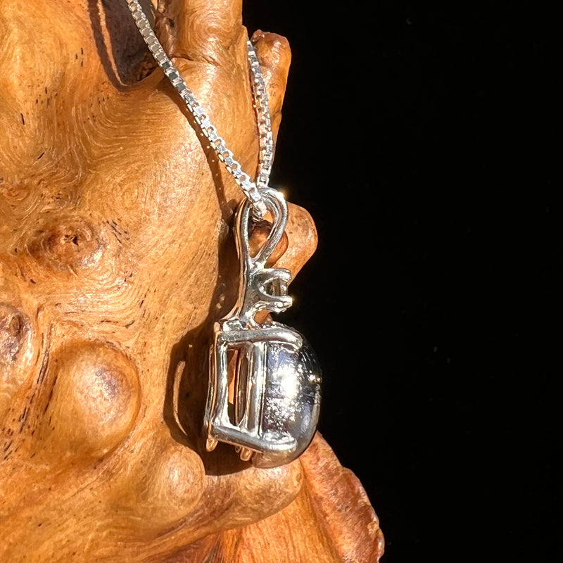 Moldavite & Muonionalusta Meteorite Pendant Sterling #6754-Moldavite Life