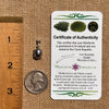 Moldavite & Muonionalusta Meteorite Pendant Sterling #6754-Moldavite Life