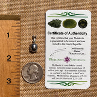 Moldavite & Muonionalusta Meteorite Pendant Sterling #6754-Moldavite Life