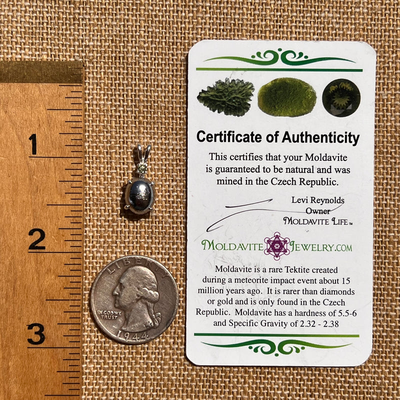 Moldavite & Muonionalusta Meteorite Pendant Sterling #6754-Moldavite Life