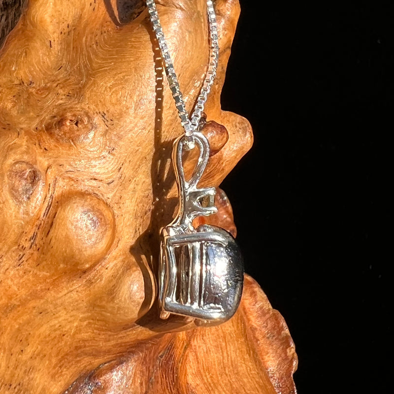 Moldavite & Muonionalusta Meteorite Pendant Sterling #6755-Moldavite Life
