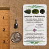Moldavite & Muonionalusta Meteorite Pendant Sterling #6755-Moldavite Life