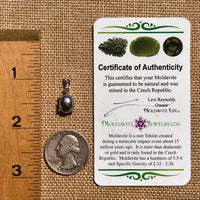 Moldavite & Muonionalusta Meteorite Pendant Sterling #6755-Moldavite Life