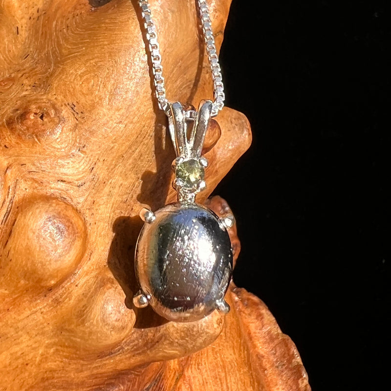 Moldavite & Muonionalusta Meteorite Pendant Sterling #6755-Moldavite Life