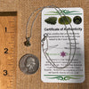 Moldavite Necklace Sterling Silver #7243-Moldavite Life