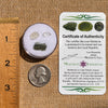 Moldavite, Phenakite, & Herkimer Diamond #100-Moldavite Life