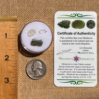 Moldavite, Phenakite, & Herkimer Diamond #100-Moldavite Life