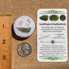 Moldavite, Phenakite, & Herkimer Diamond #102-Moldavite Life