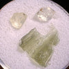 Moldavite, Phenakite, & Herkimer Diamond #106-Moldavite Life