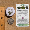 Moldavite, Phenakite, & Herkimer Diamond #106-Moldavite Life