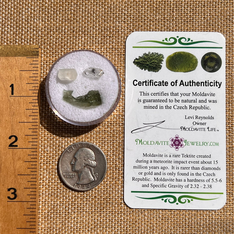 Moldavite, Phenakite, & Herkimer Diamond #113-Moldavite Life