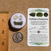 Moldavite, Phenakite, & Herkimer Diamond #115-Moldavite Life