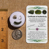 Moldavite, Phenakite, & Herkimer Diamond #116-Moldavite Life