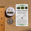 Moldavite, Phenakite, & Herkimer Diamond #118-Moldavite Life