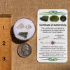 Moldavite, Phenakite, & Herkimer Diamond #120-Moldavite Life