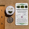 Moldavite, Phenakite, & Herkimer Diamond #124-Moldavite Life