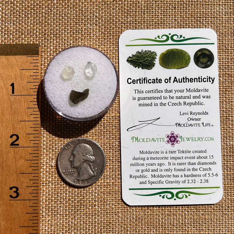 Moldavite, Phenakite, & Herkimer Diamond #132-Moldavite Life