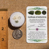 Moldavite, Phenakite, & Herkimer Diamond #133-Moldavite Life