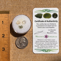 Moldavite, Phenakite, & Herkimer Diamond #133-Moldavite Life