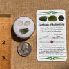 Moldavite, Phenakite, & Herkimer Diamond #139-Moldavite Life