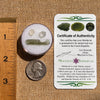 Moldavite, Phenakite, & Herkimer Diamond #140-Moldavite Life