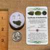 Moldavite, Phenakite, & Herkimer Diamond #54-Moldavite Life