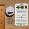 Moldavite, Phenakite, & Herkimer Diamond #67-Moldavite Life