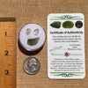 Moldavite, Phenakite, & Herkimer Diamond #72-Moldavite Life