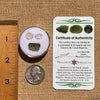 Moldavite, Phenakite, & Herkimer Diamond #78-Moldavite Life