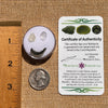 Moldavite, Phenakite, & Herkimer Diamond #82-Moldavite Life