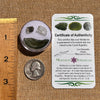 Moldavite, Phenakite, & Herkimer Diamond #85-Moldavite Life
