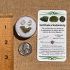 Moldavite, Phenakite, & Herkimer Diamond #87-Moldavite Life
