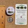 Moldavite, Phenakite, & Herkimer Diamond #88-Moldavite Life