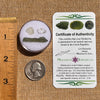 Moldavite, Phenakite, & Herkimer Diamond #92-Moldavite Life