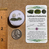 Moldavite, Phenakite, & Herkimer Diamond #94-Moldavite Life